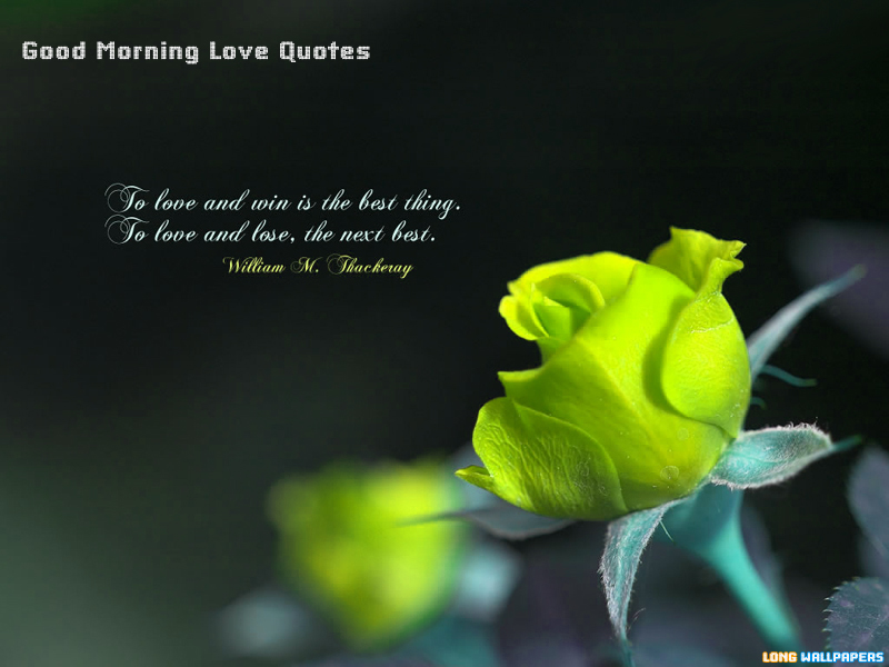 Good Morning Beautiful Quotes Love Quotesgram