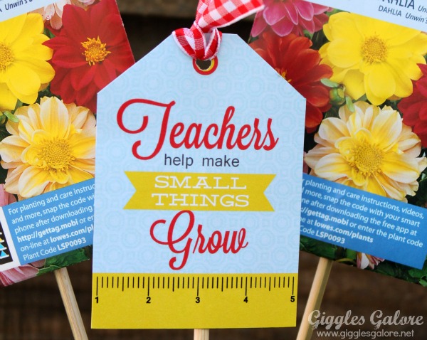 teacher-appreciation-flower-quotes-quotesgram