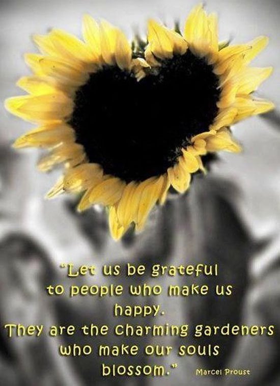 Quotes About Love And Sunflowers. QuotesGram