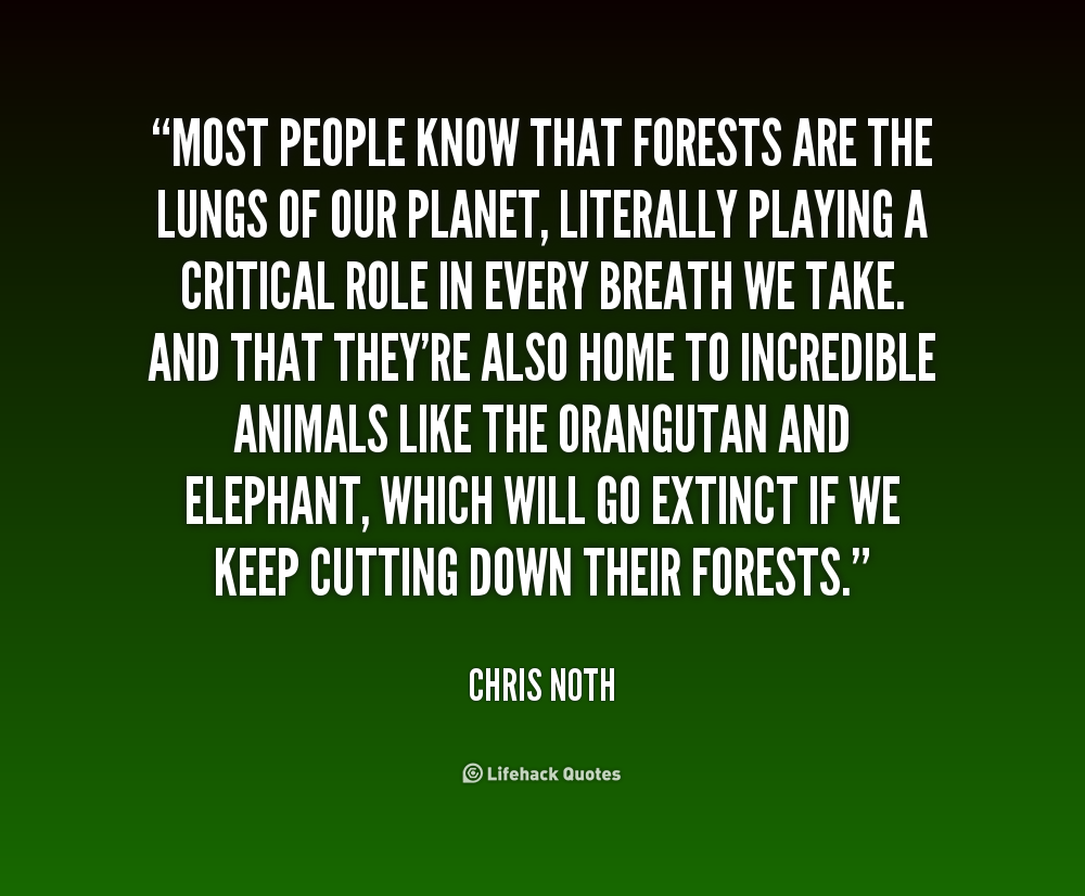 Quotes About Forest Animals. QuotesGram