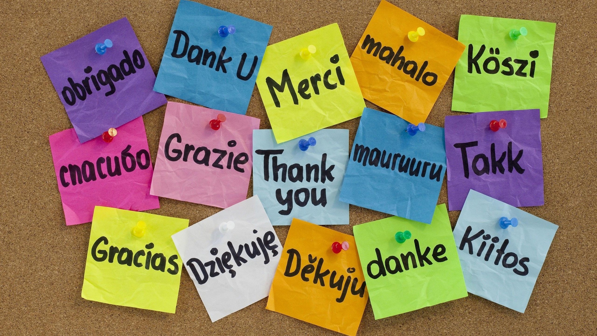 employee kudos employee kudos