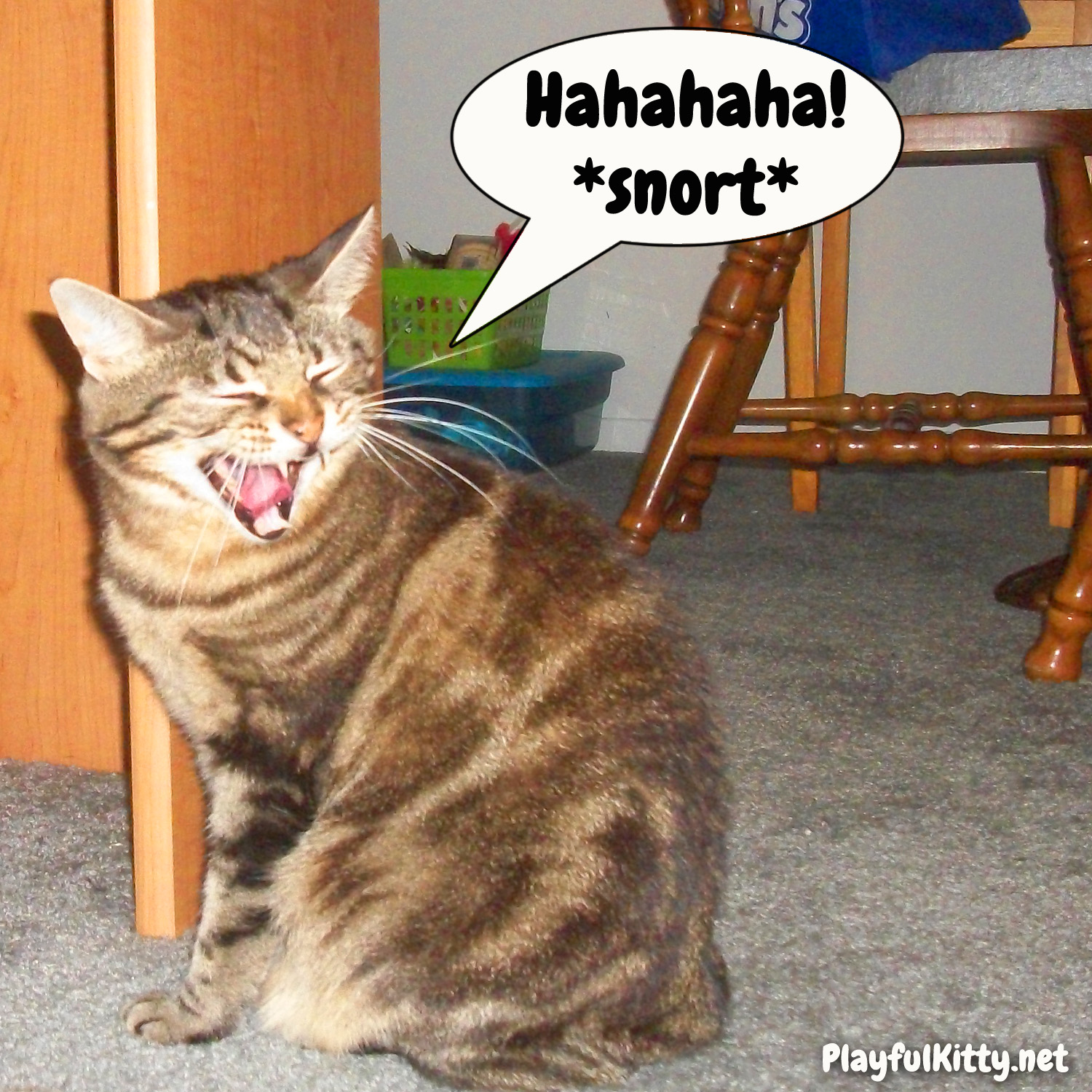 I Farted Funny Cats Quotes. QuotesGram