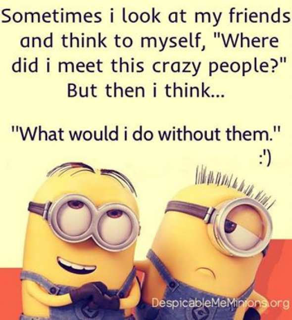 Despicable Me Quotes Friendship Quotesgram