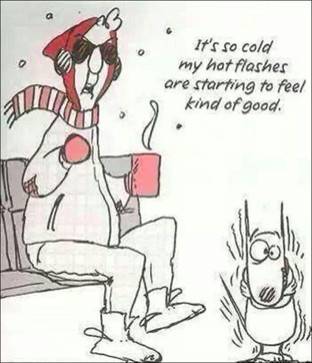Its So Cold Funny Quotes QuotesGram