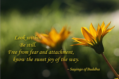 Stillness Quotes Buddha. QuotesGram