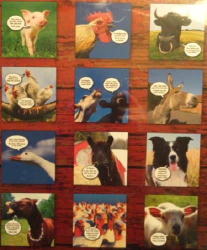 Funny Animal Quotes Calendar. QuotesGram