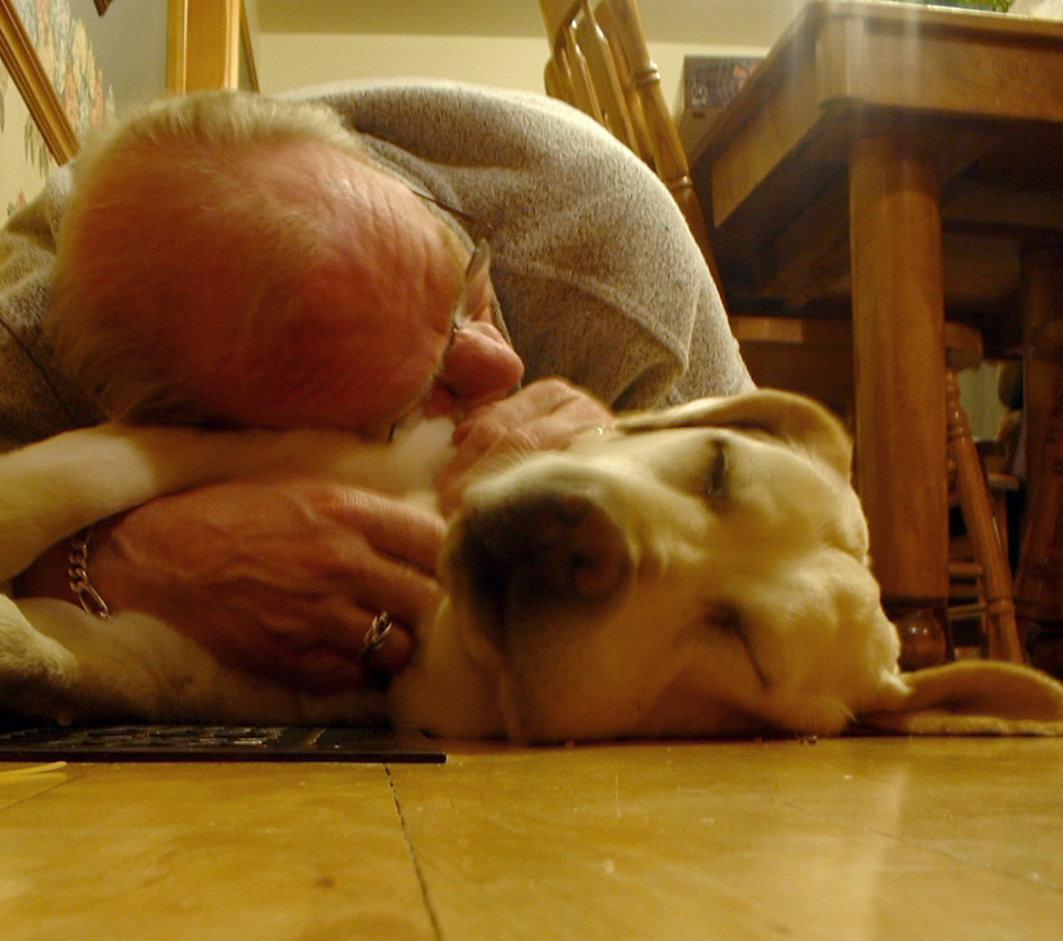 Dog Grieving Quotes QuotesGram dog-grieving-quotes-quotesgram