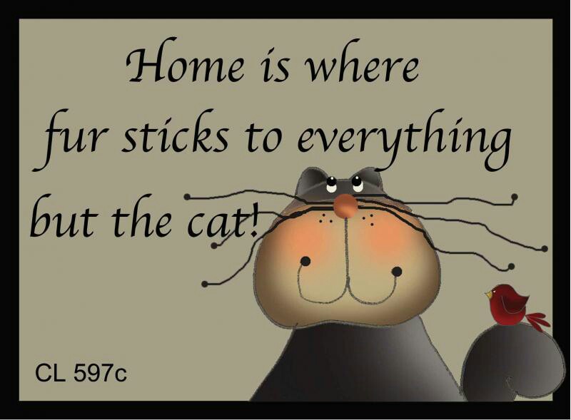 Funny Cat Lover Quotes QuotesGram Funny Cat Lover Quotes QuotesGram