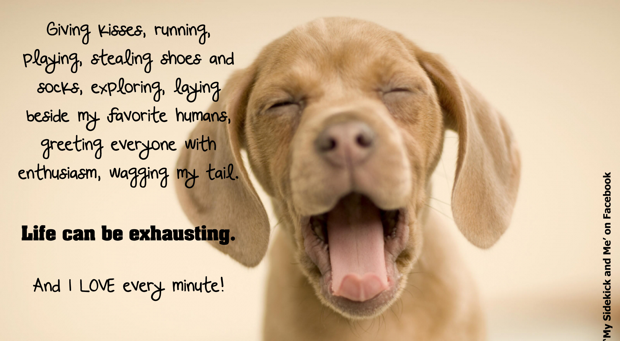 Good Dog Quotes. QuotesGram