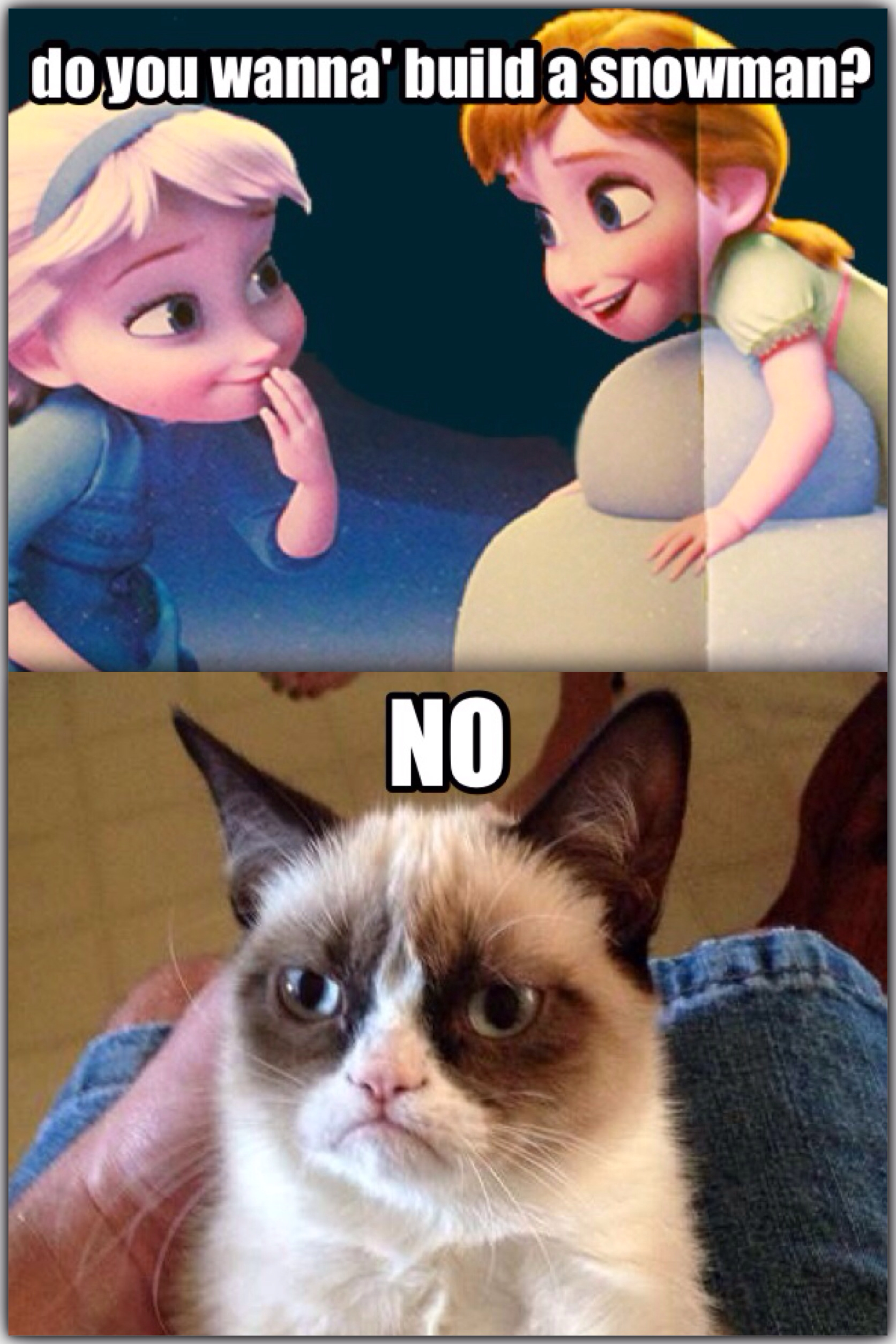 grumpy cat quotes from frozen