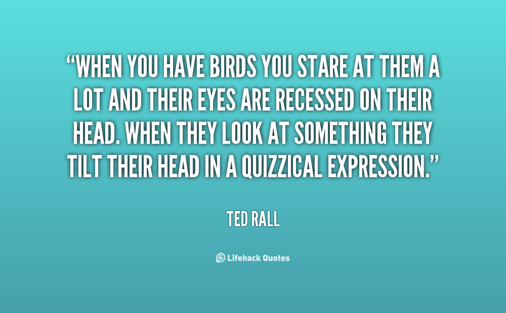 Staring Quotes. QuotesGram