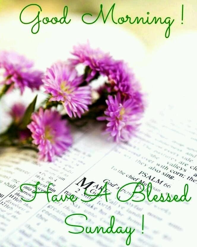 Wishes For Sunday Morning Have A Good Sunday Quotes. Quotesgram