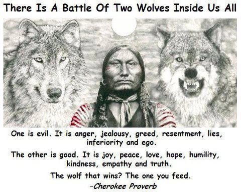 Indian Wolf Sayings And Quotes. Quotesgram