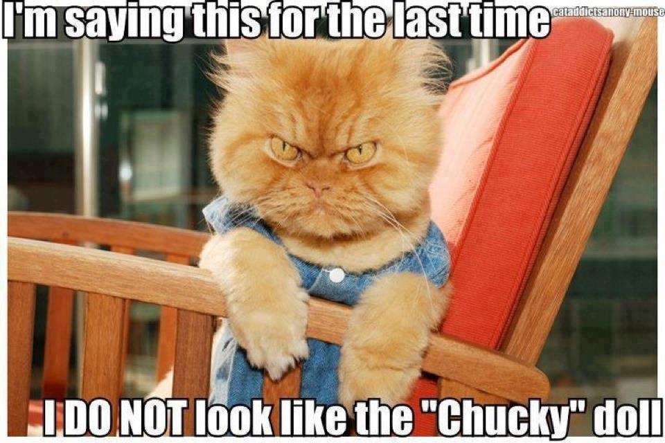 evil-quotes-humor-quotesgram