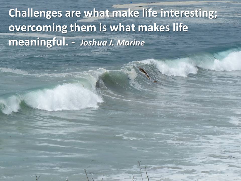 Funny Quotes About Adversity. QuotesGram
