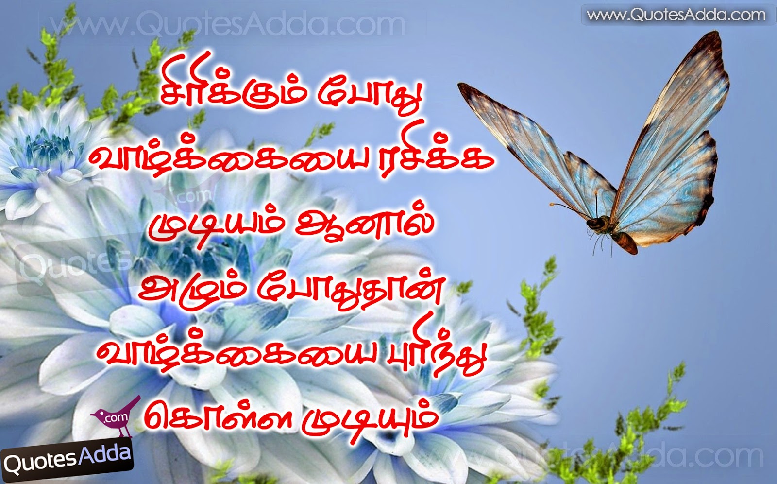 Tamil Quotes About Beauty. QuotesGram