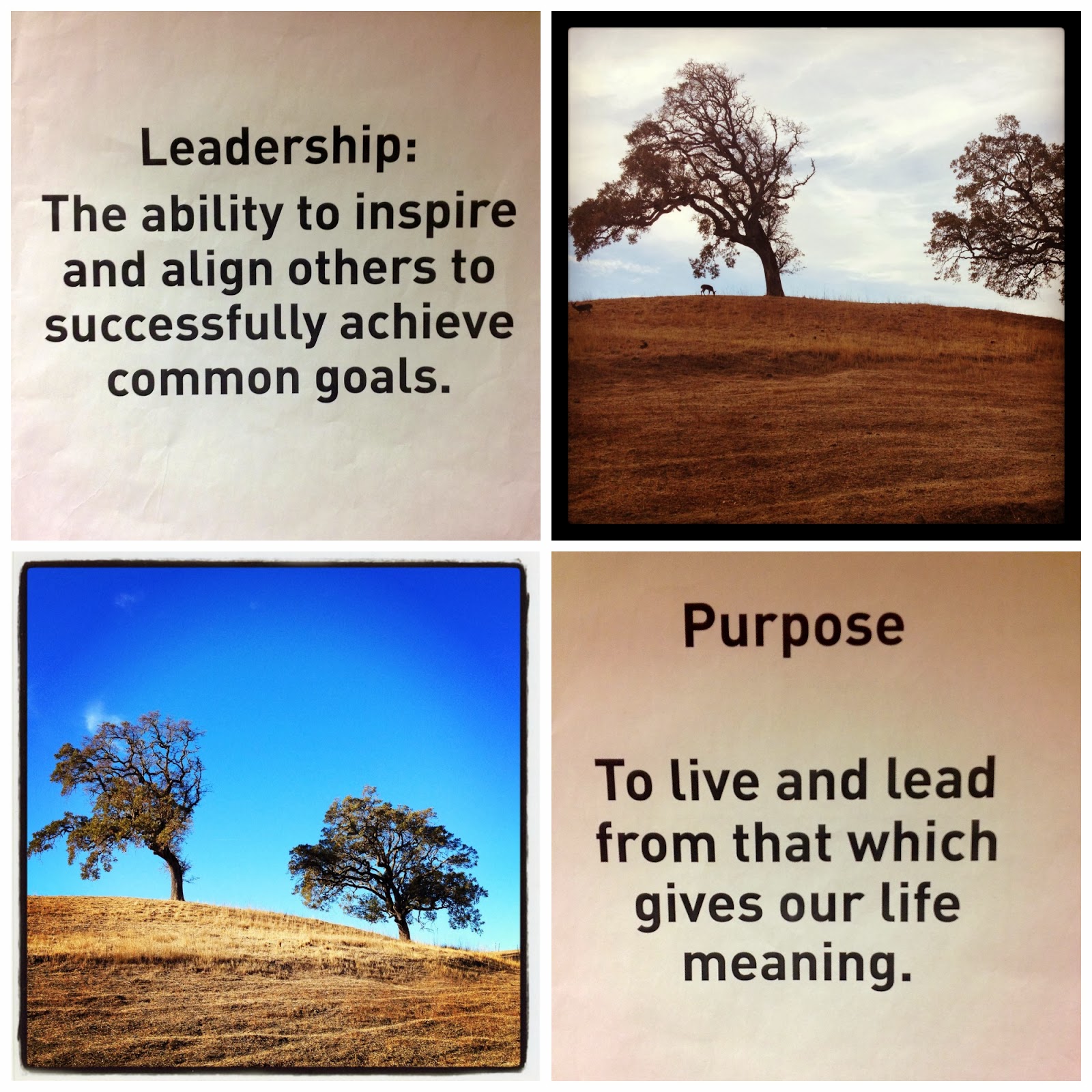 Goals To Achieve Leadership Quotes. QuotesGram