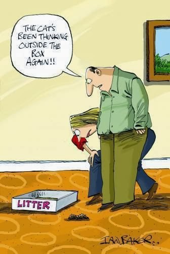 Quotes About Cat Litter. QuotesGram