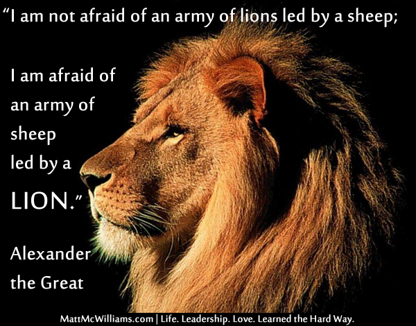 Lion And Sheep Quote I Am A Lion Quotes. Quotesgram