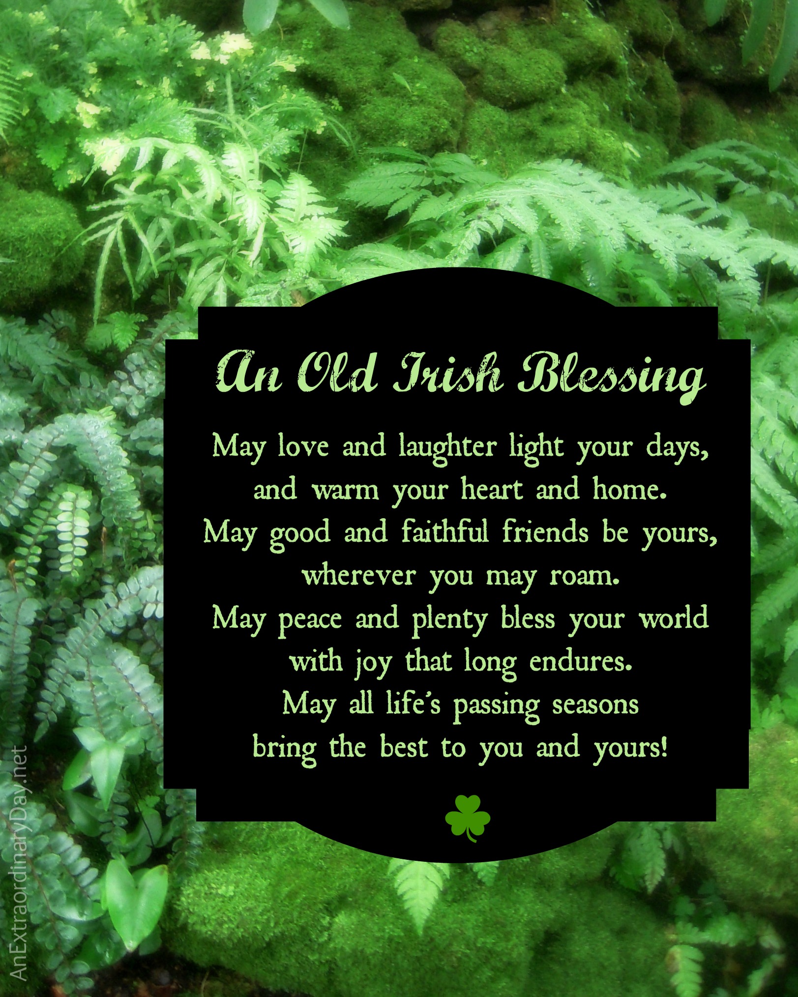 Irish Quotes About Family Strength QuotesGram