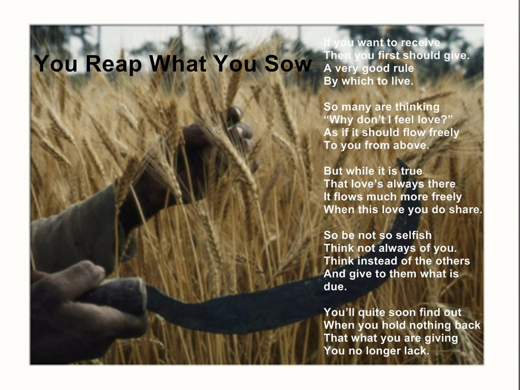 Reap What You Sow Quotes QuotesGram reap-what-you-sow-quotes-quotesgram