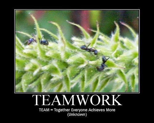 Cute Teamwork Quotes. QuotesGram