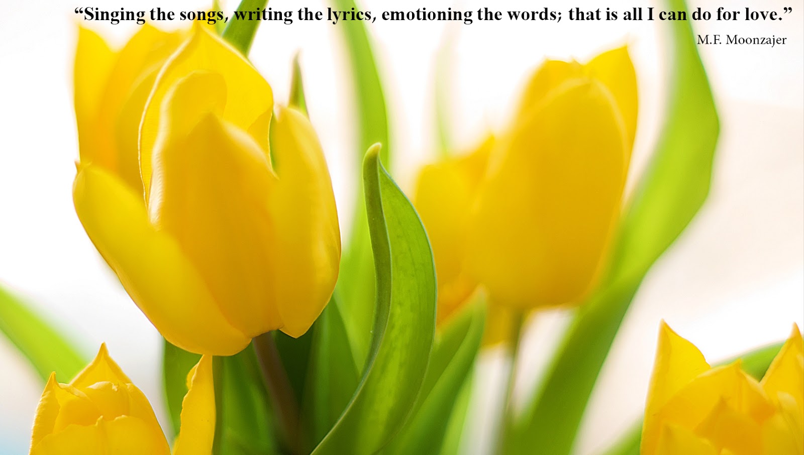 Christian Quotes About Spring Quotesgram