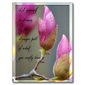 Magnolia Flower Quotes. QuotesGram