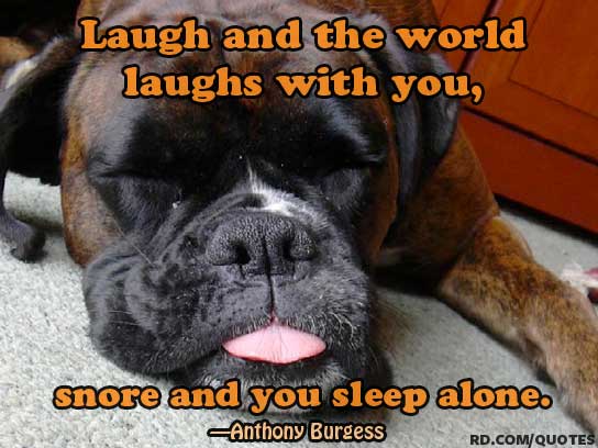 Funny Quotes About Snoring. QuotesGram