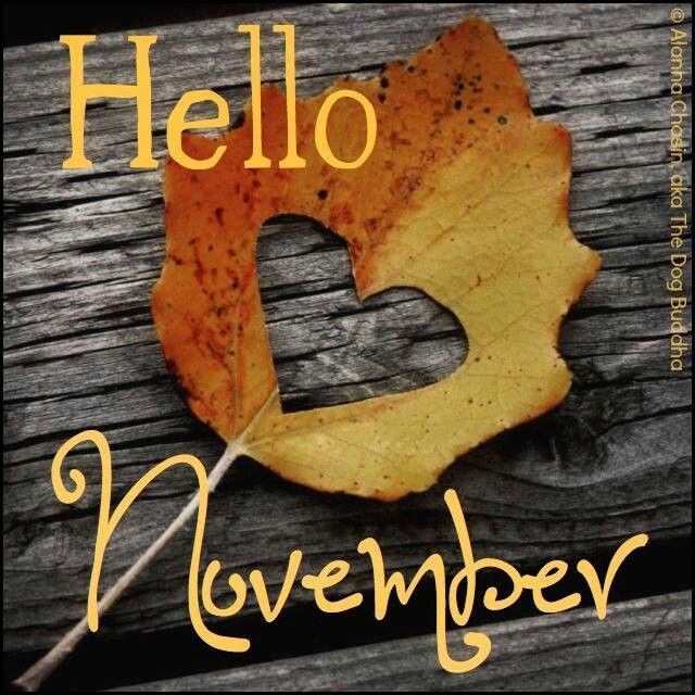 November Quotes With Graphics. QuotesGram