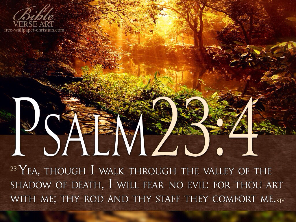 PSALM 23 | Orangewood Church