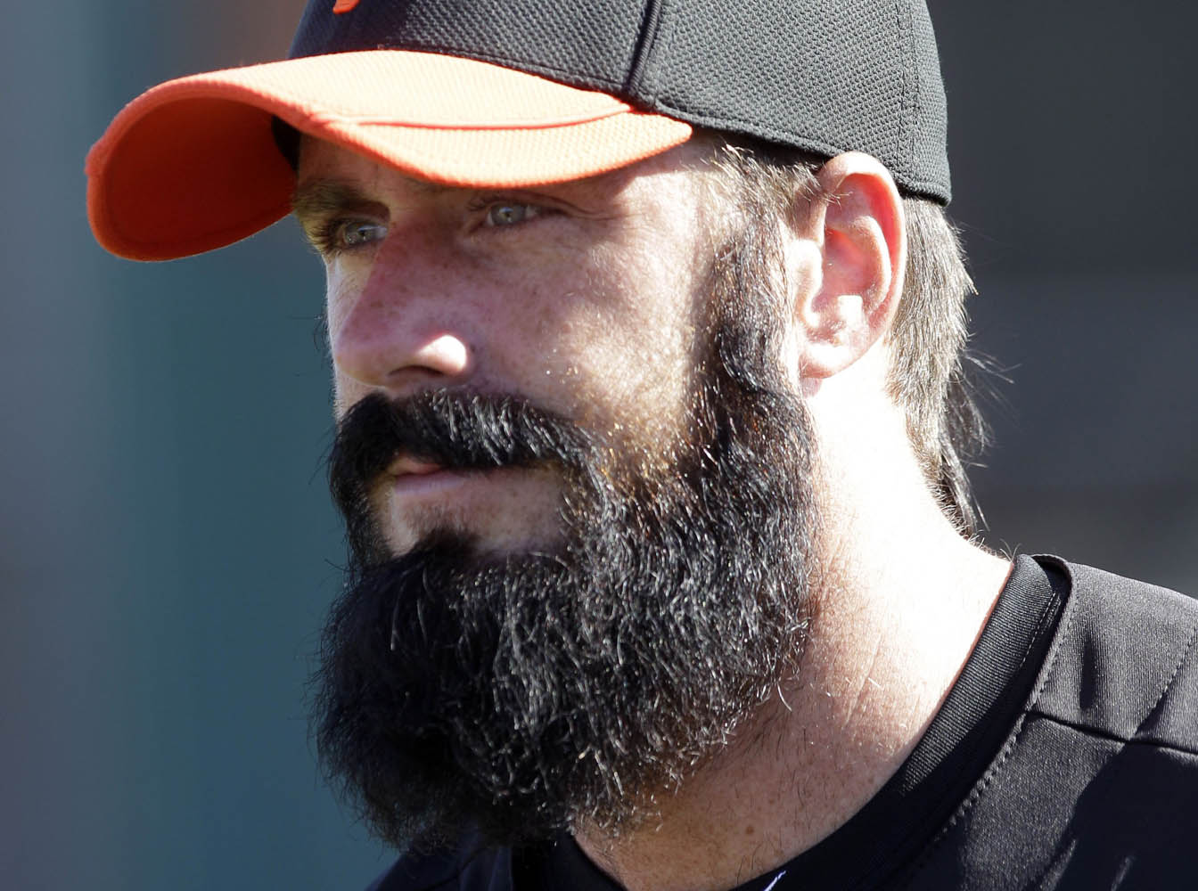 Brian Wilson Baseball Quotes. QuotesGram