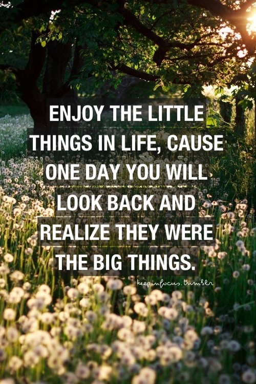Enjoy The Little Moments Quotes QuotesGram enjoy-the-little-moments-quotes-quotesgram