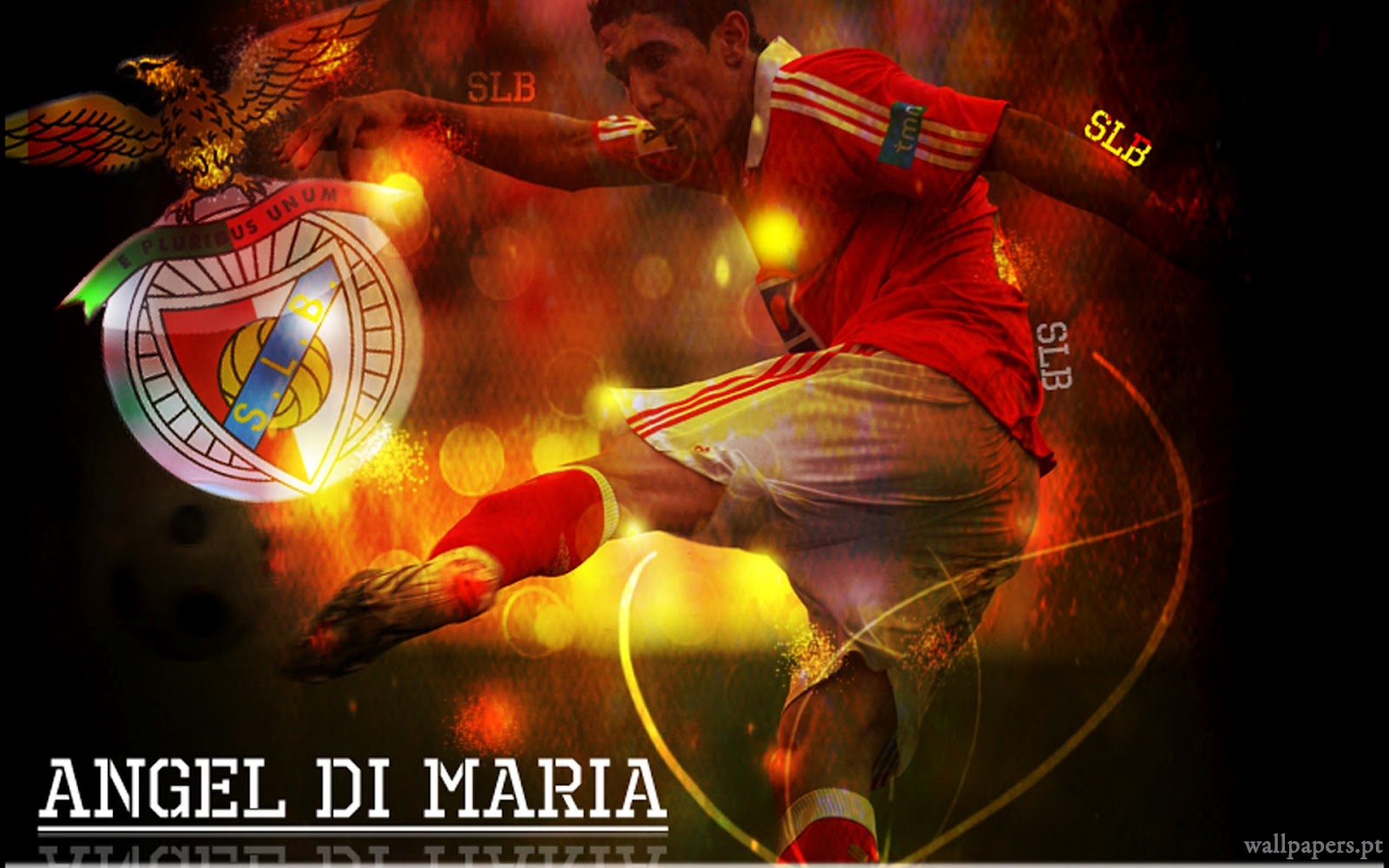 Angel Di Maria Benfica In Quotes Quotesgram
