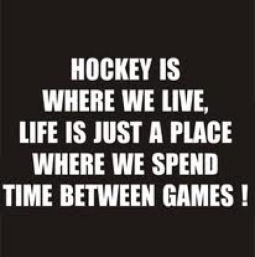 Hockey Slogans Quotes. QuotesGram