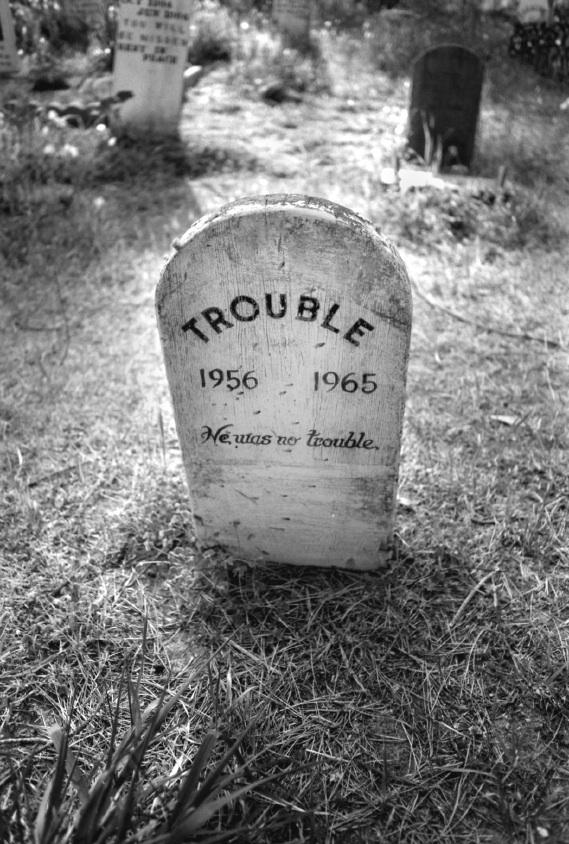Funny Epitaph Quotes. QuotesGram