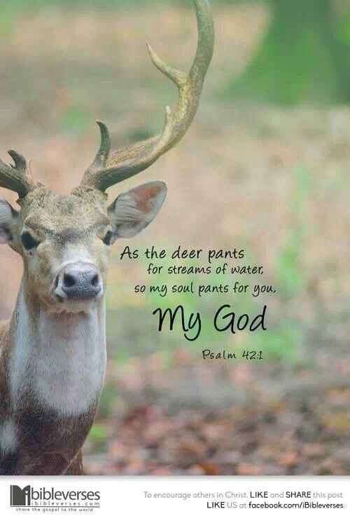 Deer Bible Quotes. QuotesGram