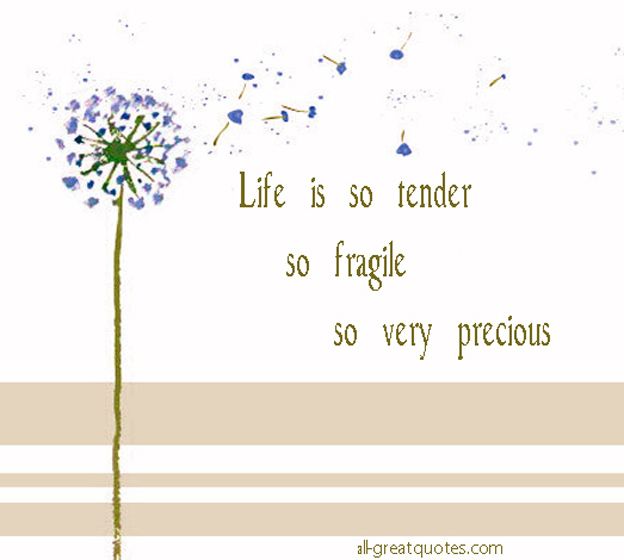 Tenderness перевод. Life is fragile. Life is good quotes. Very very very precious. Love is precious.