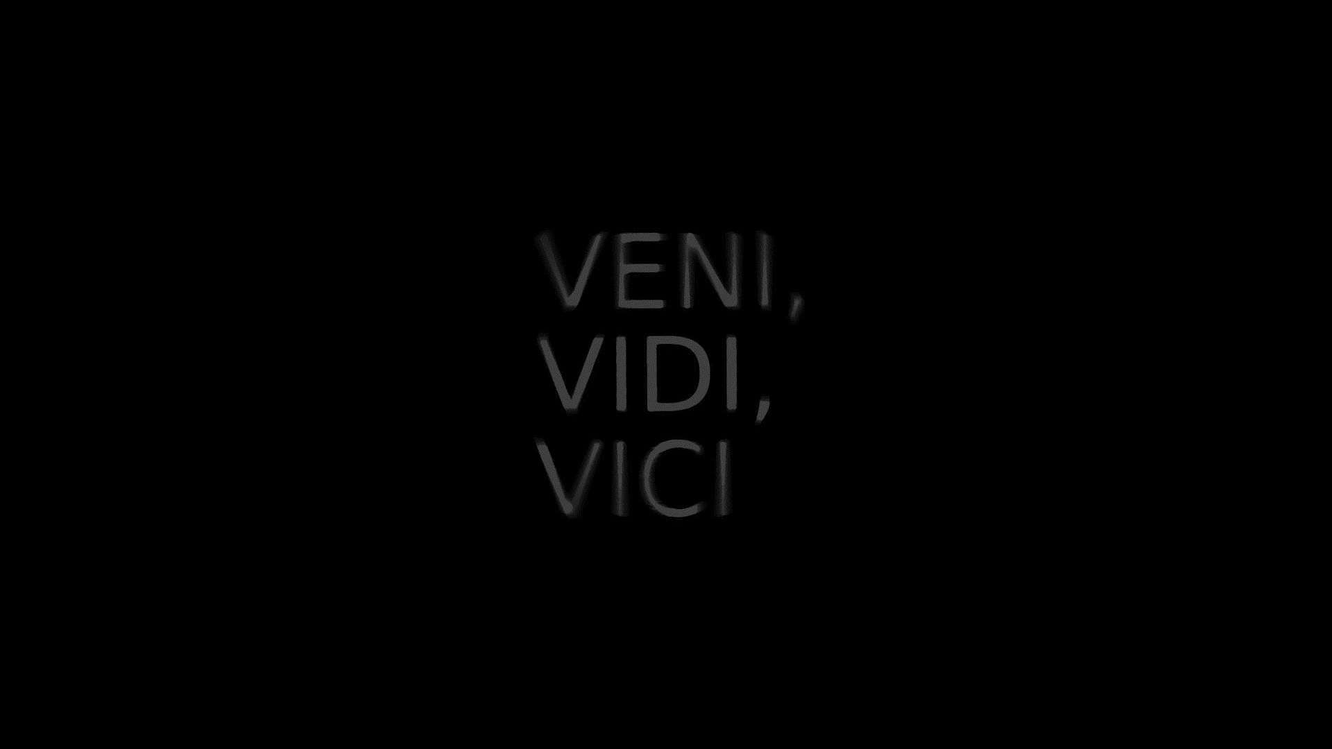 Veni, vidi, vici.” Julius Caesar Quote