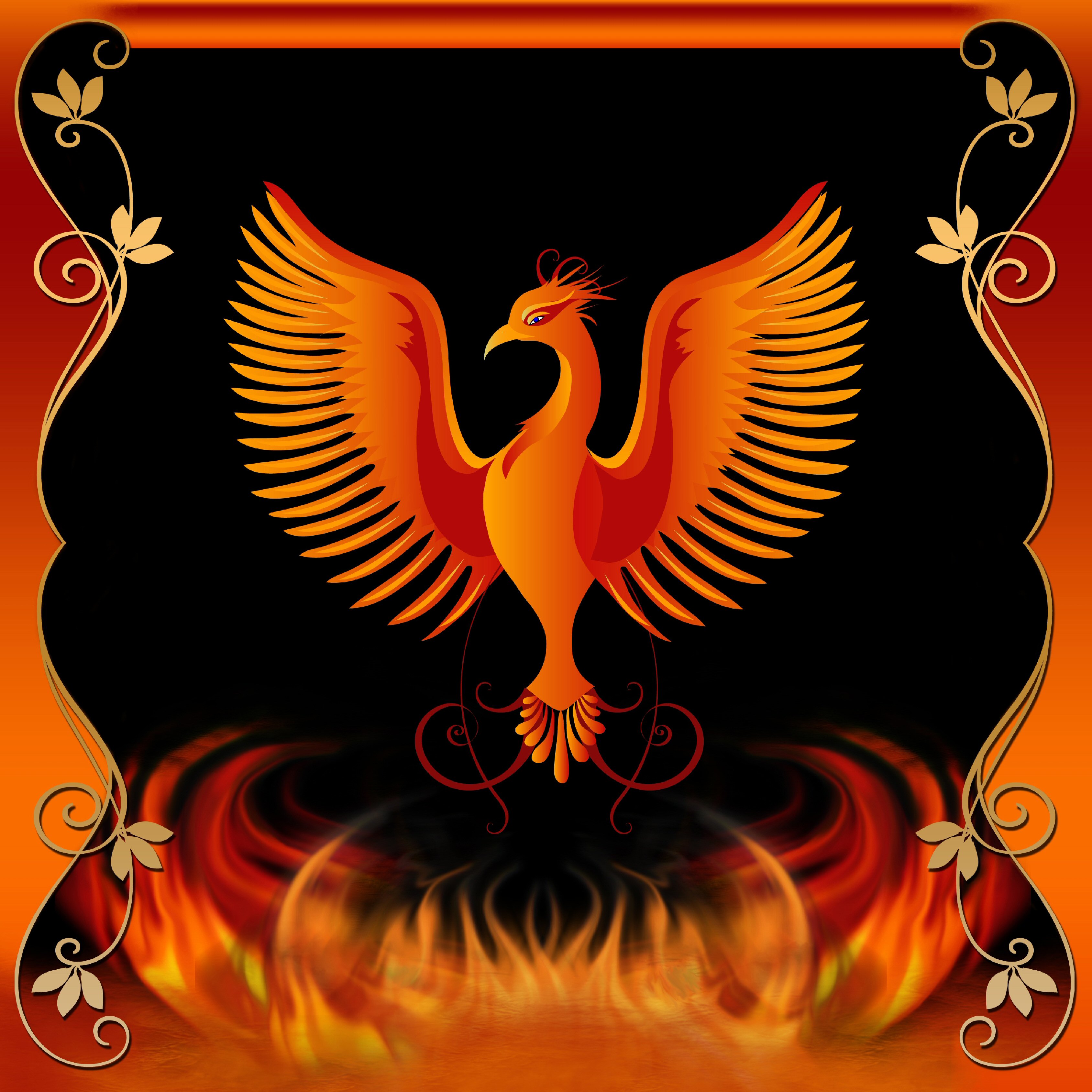phoenix-rise-from-the-ashes-quotes-covers-quotesgram