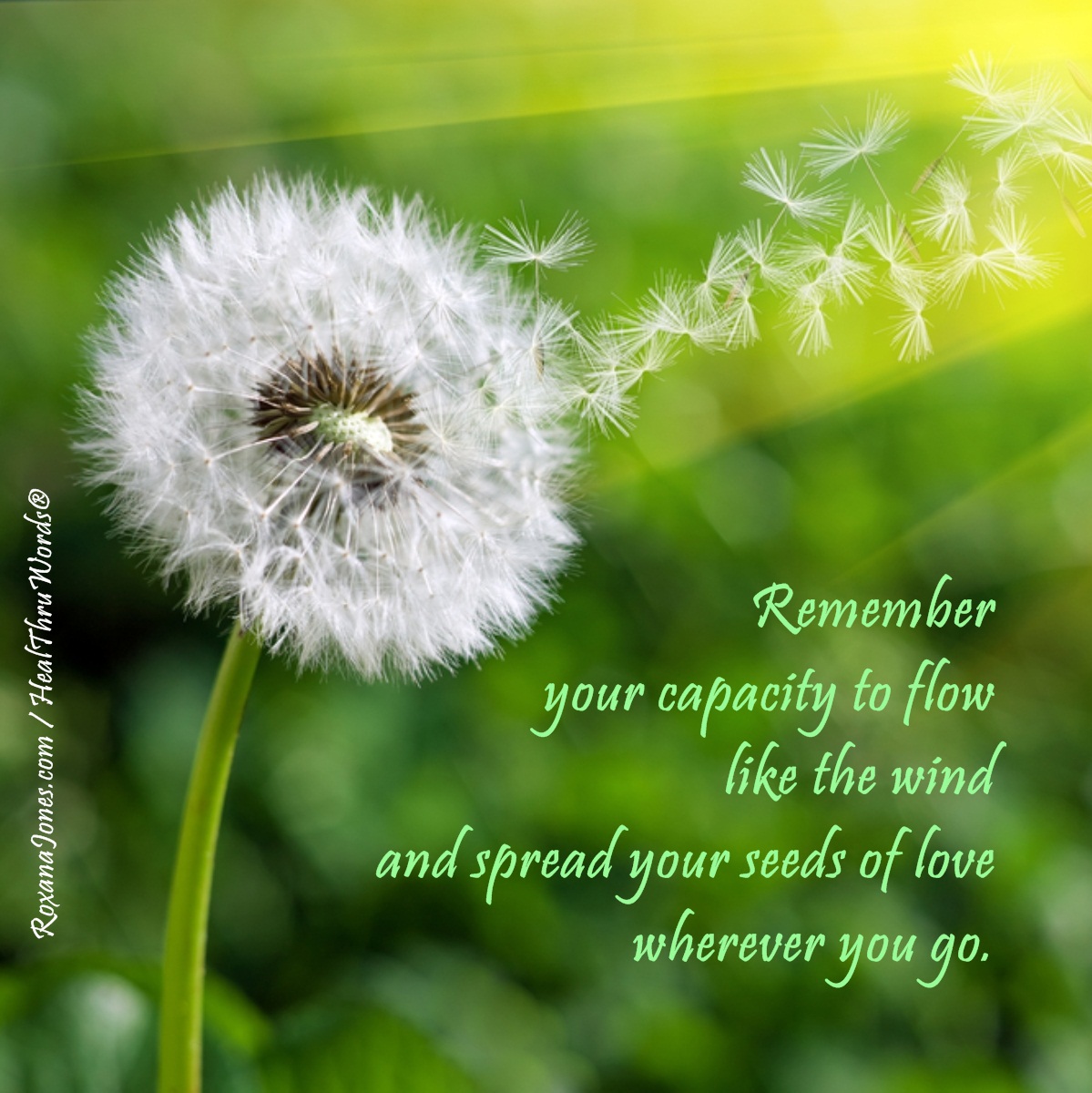 Flow Like The Wind Quotes. QuotesGram