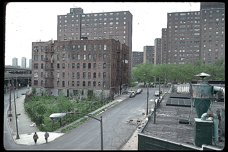 Scorts En El Bronx