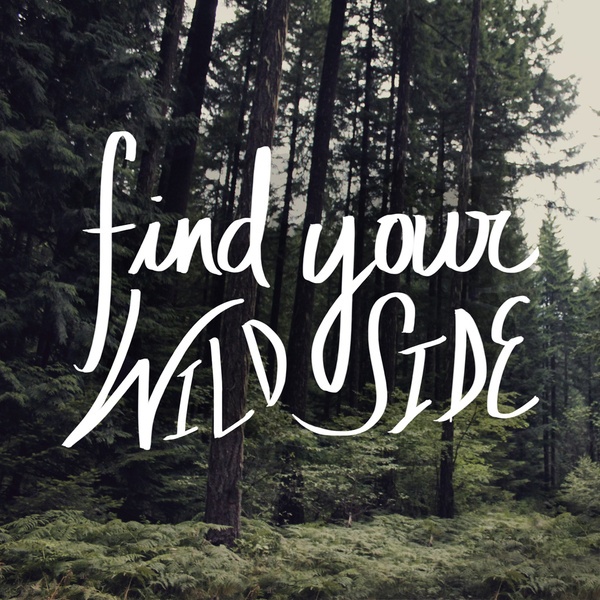 Wild Side Quotes. QuotesGram