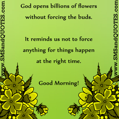 Good Morning Quotes With Flowers. QuotesGram