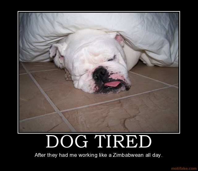 Dog Tired Quotes. QuotesGram