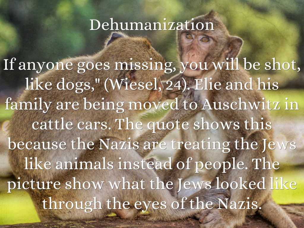 Seperation From Night By Elie Wiesel Quotes. QuotesGram