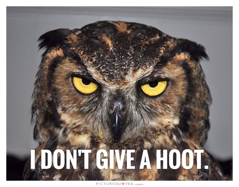 Hoot Quotes. QuotesGram