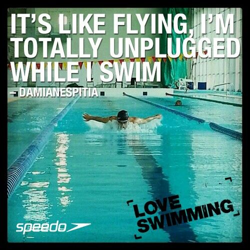 Great Swimming Quotes Quotesgram