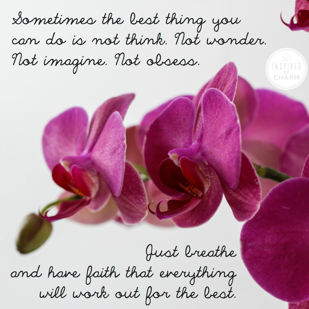 Quotes About Orchids Love. QuotesGram