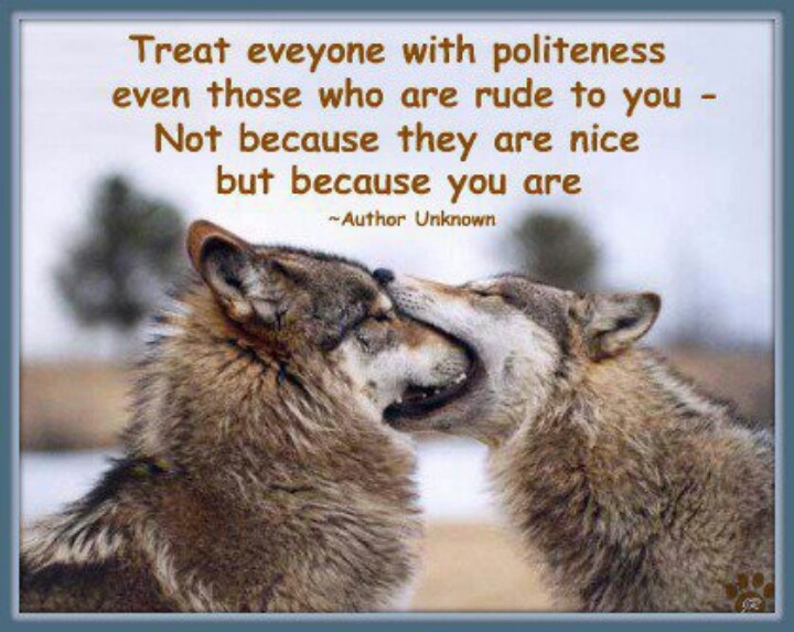 Rude Heartless Quotes. QuotesGram
